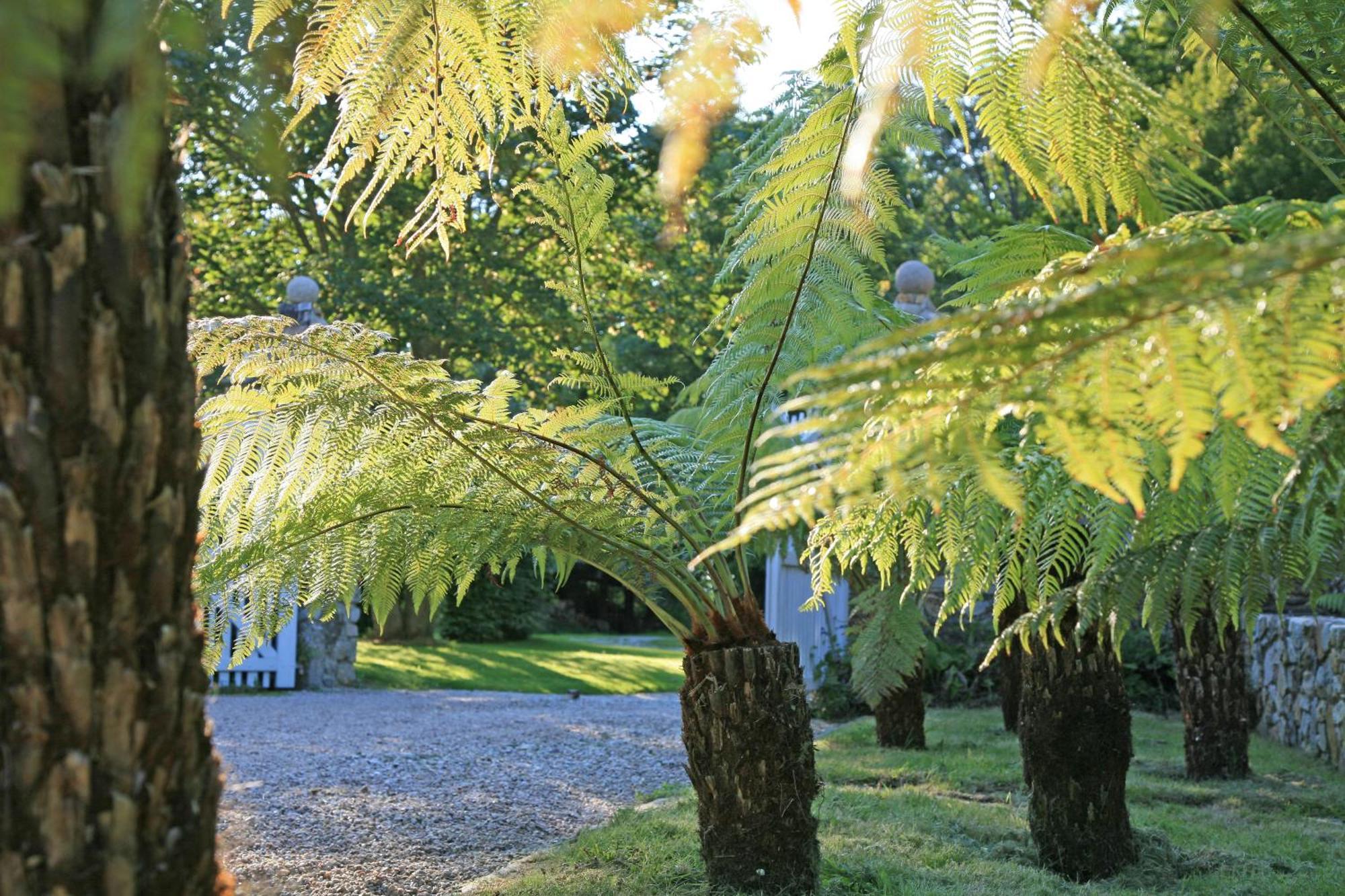 Gite Des Fougeres Cherbourg-en-Cotentin Exteriör bild